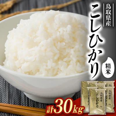 ふるさと納税 北栄町 【食味鑑定士厳選】鳥取県産 コシヒカリ30kg(5kg