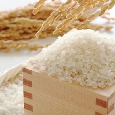 ふるさと納税 小諸市 御牧ヶ原産 こしひかり 精米 2kg