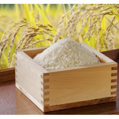 ふるさと納税 小諸市 小諸市糠地産 こしひかり「深沢清流米」精米 2kg