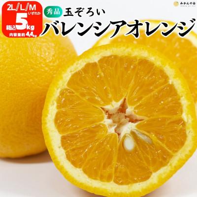 ふるさと納税 有田川町 バレンシアオレンジ 国産 玉ぞろい 秀品 箱込5kg (内容量4.4kg) 2L/L/Mいずれか