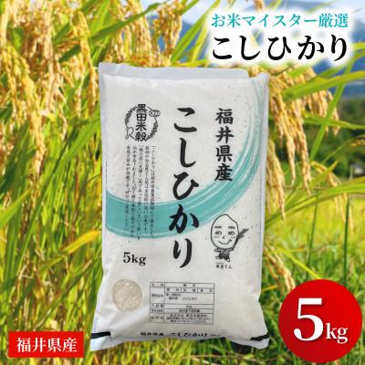 ふるさと納税 鯖江市 福井県産[令和7年産]こしひかり 5kg