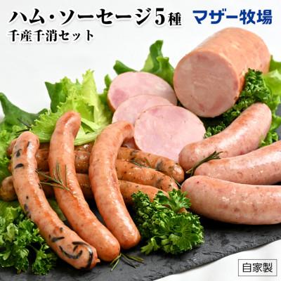 ふるさと納税 富津市 マザー牧場 手造りハム&amp;ソーセージ5種 千産千消セット
