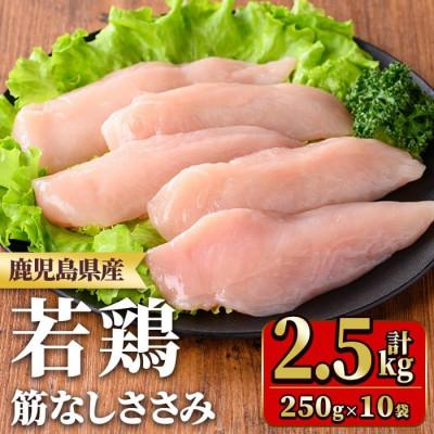 ふるさと納税 湧水町 鹿児島県産若鶏筋なしささみ(計2.5kg・250g×10袋) y533(湧水町)