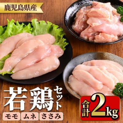 ふるさと納税 湧水町 鹿児島県産若鶏セット(合計2kg・もも、むね、ささみ) y536(湧水町)
