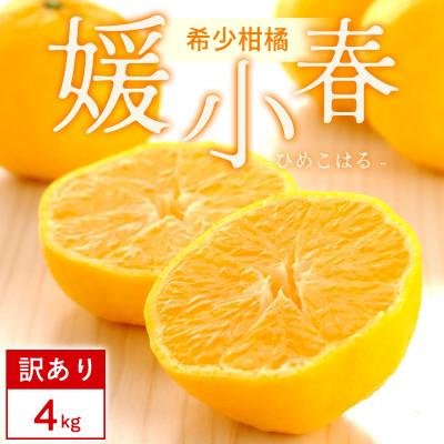 ふるさと納税 八幡浜市 [先行受付[訳あり]媛小春 4kg みかん 愛媛県 八幡浜市 西宇和地区 幻の柑橘[E25-360]