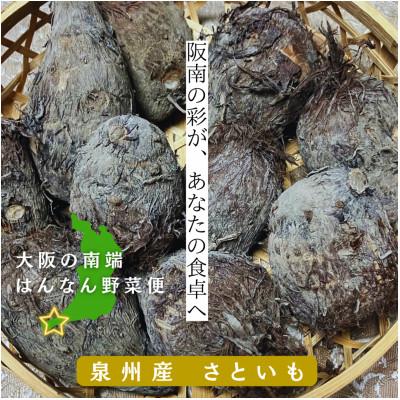 ふるさと納税 阪南市 はんなん野菜便〜泉州産さといも〜