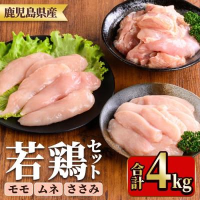 ふるさと納税 湧水町 鹿児島県産若鶏セット(もも、むね、ささみ) 合計4kg(y537)(湧水町)