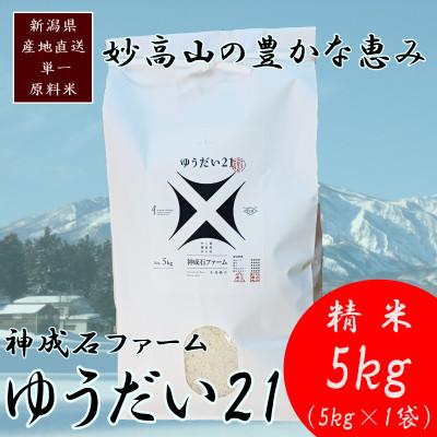 ふるさと納税 上越市 標高200mで育てた棚田米|令和7年・新潟県上越産・ゆうだい21 精米5kg
