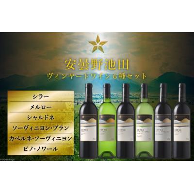 ふるさと納税 池田町 サッポログランポレール 安曇野池田ヴィンヤードワイン 6種セット