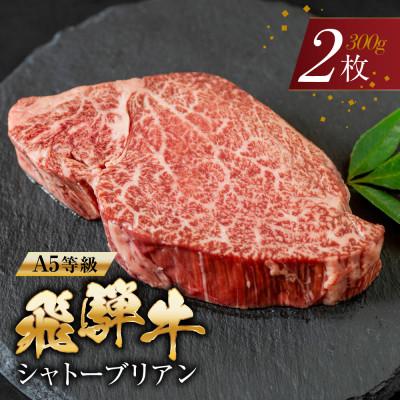 ふるさと納税 本巣市 A5等級 飛騨牛 シャトーブリアン ステーキ 2枚 牛肉 ヒレ トキノ屋食品