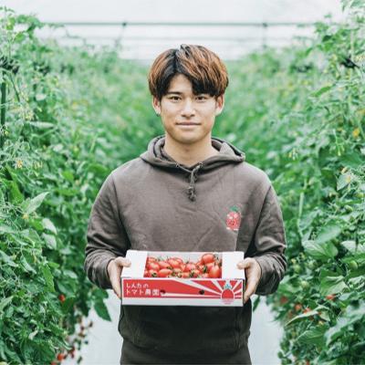 ふるさと納税 宇城市 熊本県宇城市不知火町産 アイコミニトマト