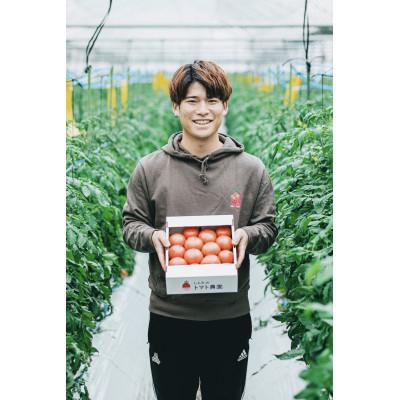 ふるさと納税 宇城市 熊本県宇城市不知火町産 塩トマト