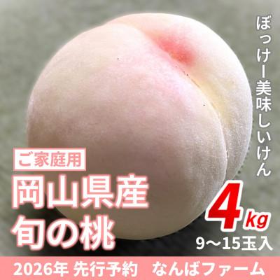 ふるさと納税 鏡野町 [2026年先行予約]岡山県産 旬の桃[ご家庭用] 4.0kg(9〜15玉)農家直送