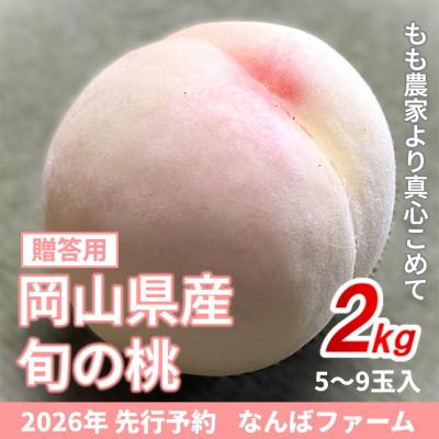 ふるさと納税 鏡野町 [2026年先行予約]岡山県産 旬の桃[贈答用]2.0kg(5〜9玉)農家直送