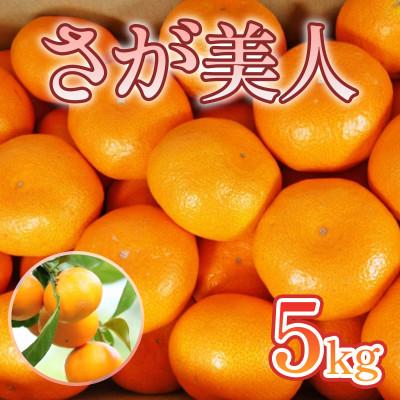 ふるさと納税 鳥栖市 佐賀県産 さが美人5kg(鳥栖市)