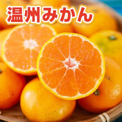 ふるさと納税 和水町 温州みかん 約2.5kg(和水町)