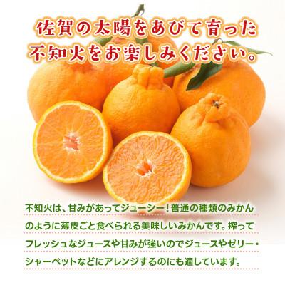 ふるさと納税 鳥栖市 しらぬい約3kg(鳥栖市)_1