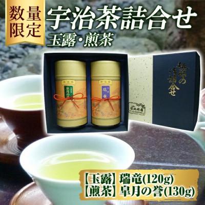 ふるさと納税 宇治市 [数量限定]宇治茶 玉露「瑞竜」・煎茶「皐月の誉」詰合せ[H-50]京都・宇治 自社工場製造