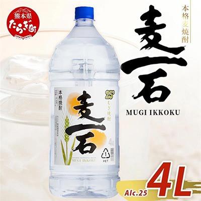 ふるさと納税 多良木町 [麦一石]4L エコペット 25度(多良木町)