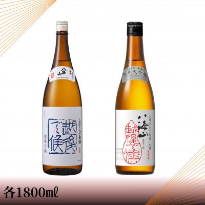 ふるさと納税 南魚沼市 [季節限定品]純米大吟醸八海山しぼりたて原酒越後で候赤・八海山しぼりたて原酒越後で候青 一升瓶セット