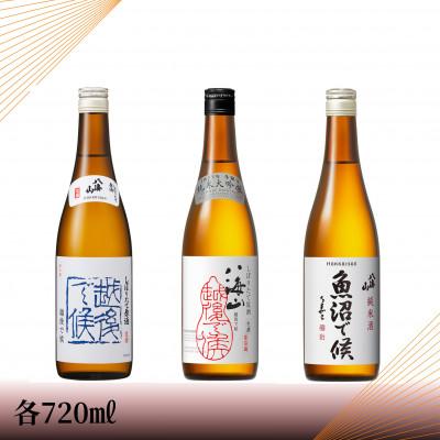 ふるさと納税 南魚沼市 [季節地域限定品]八海山 純米大吟醸越後で候 赤・越後で候 青・魚沼で候 四合瓶セット