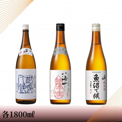 ふるさと納税 南魚沼市 [季節地域限定品]八海山 純米大吟醸越後で候 赤・越後で候 青・魚沼で候 一升瓶セット