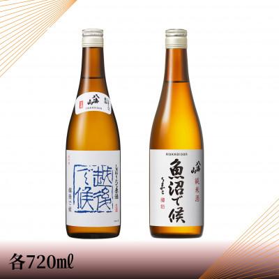 ふるさと納税 南魚沼市 [季節地域限定品]八海山しぼりたて原酒 越後で候 青・魚沼で候 四合瓶セット