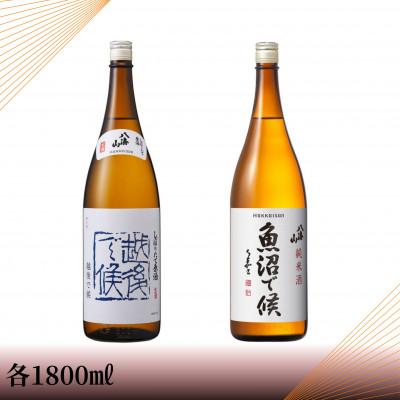 ふるさと納税 南魚沼市 [季節地域限定品]八海山しぼりたて原酒 越後で候 青・魚沼で候 一升瓶セット
