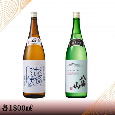 ふるさと納税 南魚沼市 [季節限定品] 八海山しぼりたて原酒 越後で候 青・純米吟醸 八海山 55%一升瓶セット