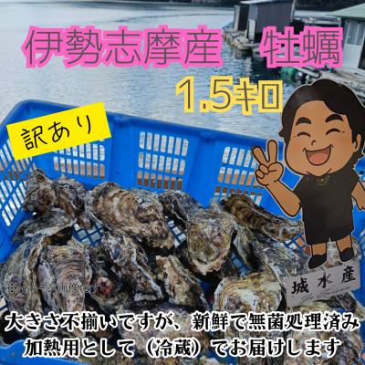 ふるさと納税 南伊勢町 訳アリ 伊勢志摩産 城水産の殻付き 生牡蠣 計1.5kg 新鮮で生食可能の無菌処理済みですが加熱用