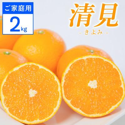 ふるさと納税 八幡浜市 [ご家庭用]清見 2kg 愛媛県 八幡浜市 西宇和地区 柔らかい果肉[C25-377]