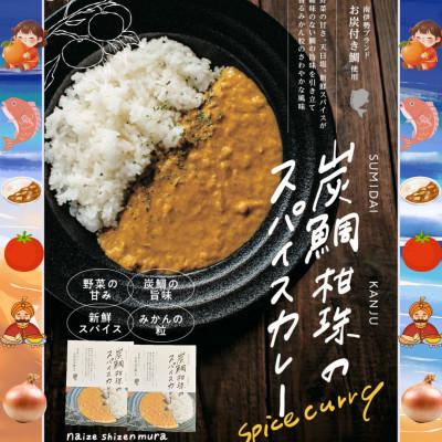 ふるさと納税 南伊勢町 炭鯛柑珠のスパイスカレー2個 お炭付き鯛 伊勢志摩のみかんを使用した 本場インド人監修のご当地カレー