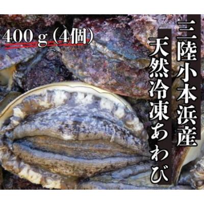 ふるさと納税 岩泉町 三陸小本浜産冷凍天然あわび 400g(4個入り)