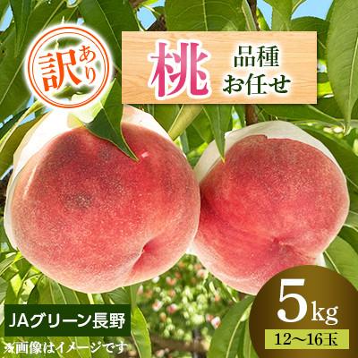 ふるさと納税 長野市 [先行受付]JAグリーン長野 桃 5kg(12〜16玉) 訳あり家庭用 品種お任せ