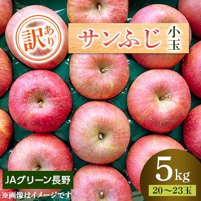 ふるさと納税 長野市 [先行受付]JAグリーン長野 サンふじ 5kg(20〜23玉) 訳あり家庭用 小玉サイズ