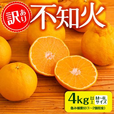 ふるさと納税 宮崎市 [訳あり]不知火4kg 傷み補償200g付き(宮崎市)