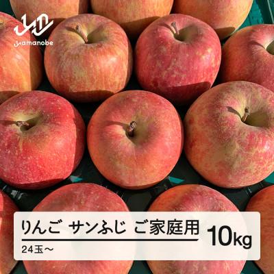 ふるさと納税 山辺町 先行予約 りんご サンふじ ご家庭用 約10kg(24〜50玉) 山形県産 tf-risfm10