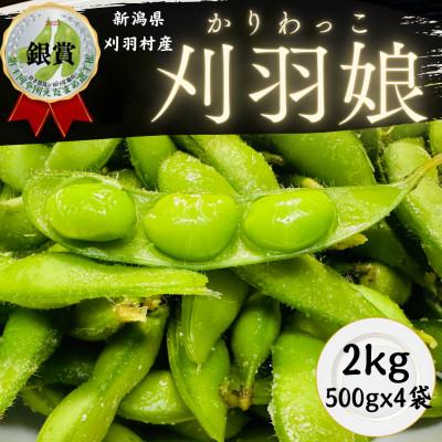 ふるさと納税 刈羽村 新潟県刈羽村 朝採直送枝豆 刈羽娘2kg(500g×4パック)
