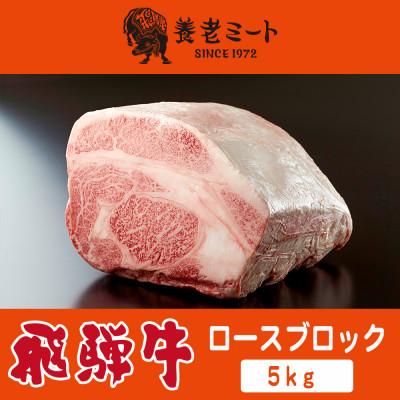 ふるさと納税 多治見市 飛騨牛 ロースブロック 5kg