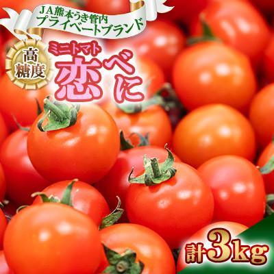 ふるさと納税 宇城市 [数量限定 期間限定] JA熊本うき プライベートブランド 高糖度 ミニトマト 恋べに 計3kg