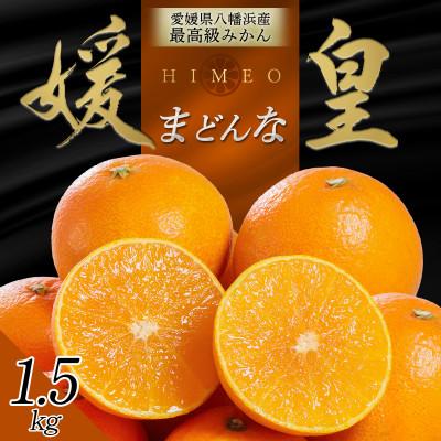 ふるさと納税 八幡浜市 最高級みかん 媛皇 まどんな 1.5kg 愛媛県 八幡浜市 西宇和地区 希少品種[C25-366]