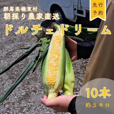 ふるさと納税 榛東村 トウモロコシ ドルチェドリーム 10本