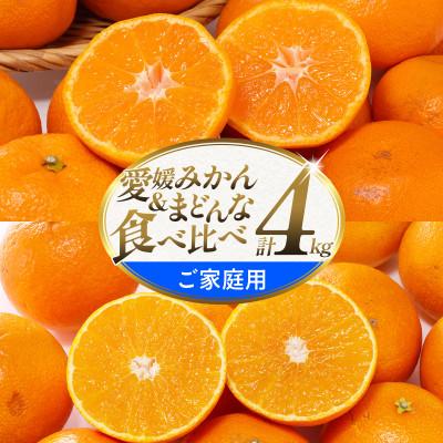 ふるさと納税 八幡浜市 [ご家庭用]「みかん・まどんな食べ比べセット」 愛媛県 八幡浜産 合計4kg[C25-381]