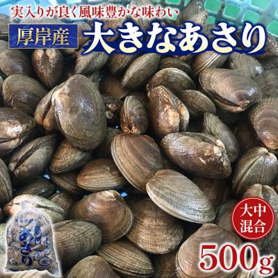 ふるさと納税 厚岸町 面倒な砂抜き不要!北海道厚岸産あさり 500g×1パック(大中混合)