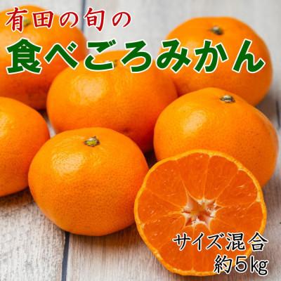 ふるさと納税 古座川町 「農園直送」有田の旬の食べごろみかん約5kg(サイズ混合)(古座川町)