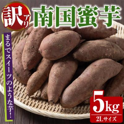 ふるさと納税 阿久根市 訳あり!数量限定!熟成芋「南国蜜芋」紅はるか 2Lサイズ 計5kg [うとさんち]akn067-03