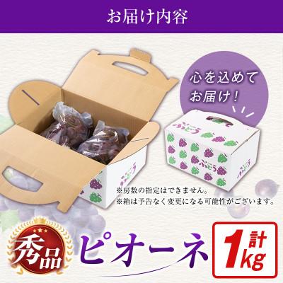 ふるさと納税 小林市 【2027年発送】【ギフト・贈答】ピオーネ 1kg(2房〜3房)(小林市) |  | 03