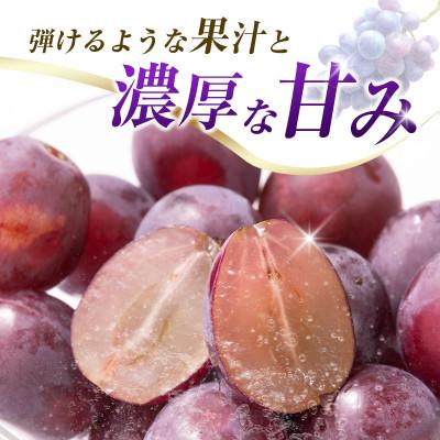 ふるさと納税 小林市 【2027年発送】【ギフト・贈答】ピオーネ 2kg(3房〜6房)(小林市) |  | 02