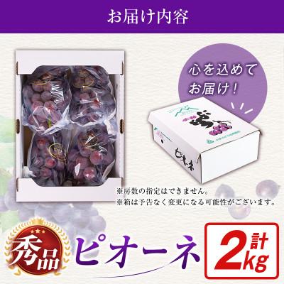 ふるさと納税 小林市 【2027年発送】【ギフト・贈答】ピオーネ 2kg(3房〜6房)(小林市) |  | 03