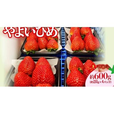 ふるさと納税 前橋市 2026年群馬県いちご品評会金賞 やよいひめ コク、甘さ、香りが強いいちご 150g×4パック